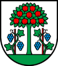 Wappen Gemeinde Magden Kanton Aargau