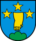 Wappen Gemeinde Villigen Kanton Aargau