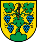 Wappen Gemeinde Zeiningen Kanton Aargau