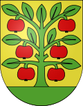 Wappen Gemeinde Grossaffoltern Kanton Bern