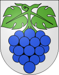 Wappen Gemeinde Wynau Kanton Bern Wappen Gemeinde Wynau Kanton Bern
