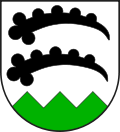 Wappen Gemeinde Trimmis Kanton Graubünden