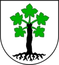 Wappen Gemeinde Trun Kanton Graubünden
