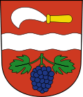 Wappen Gemeinde Rickenbach (ZH) Kanton Zürich