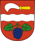 Wappen Gemeinde Rickenbach (ZH) Kanton Zürich Wappen Gemeinde Rickenbach (ZH) Kanton Zürich